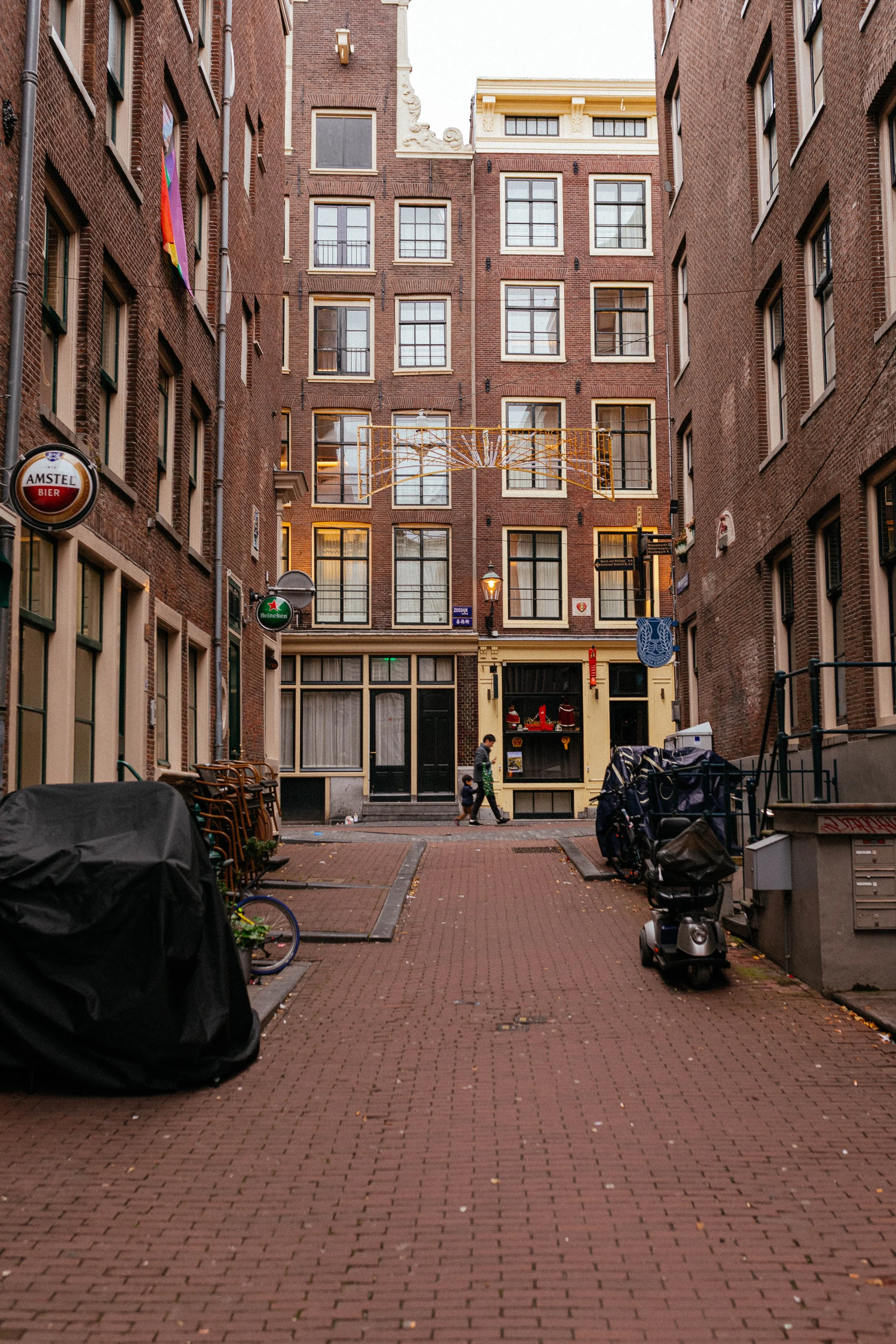 _11A9749-2.jpg
