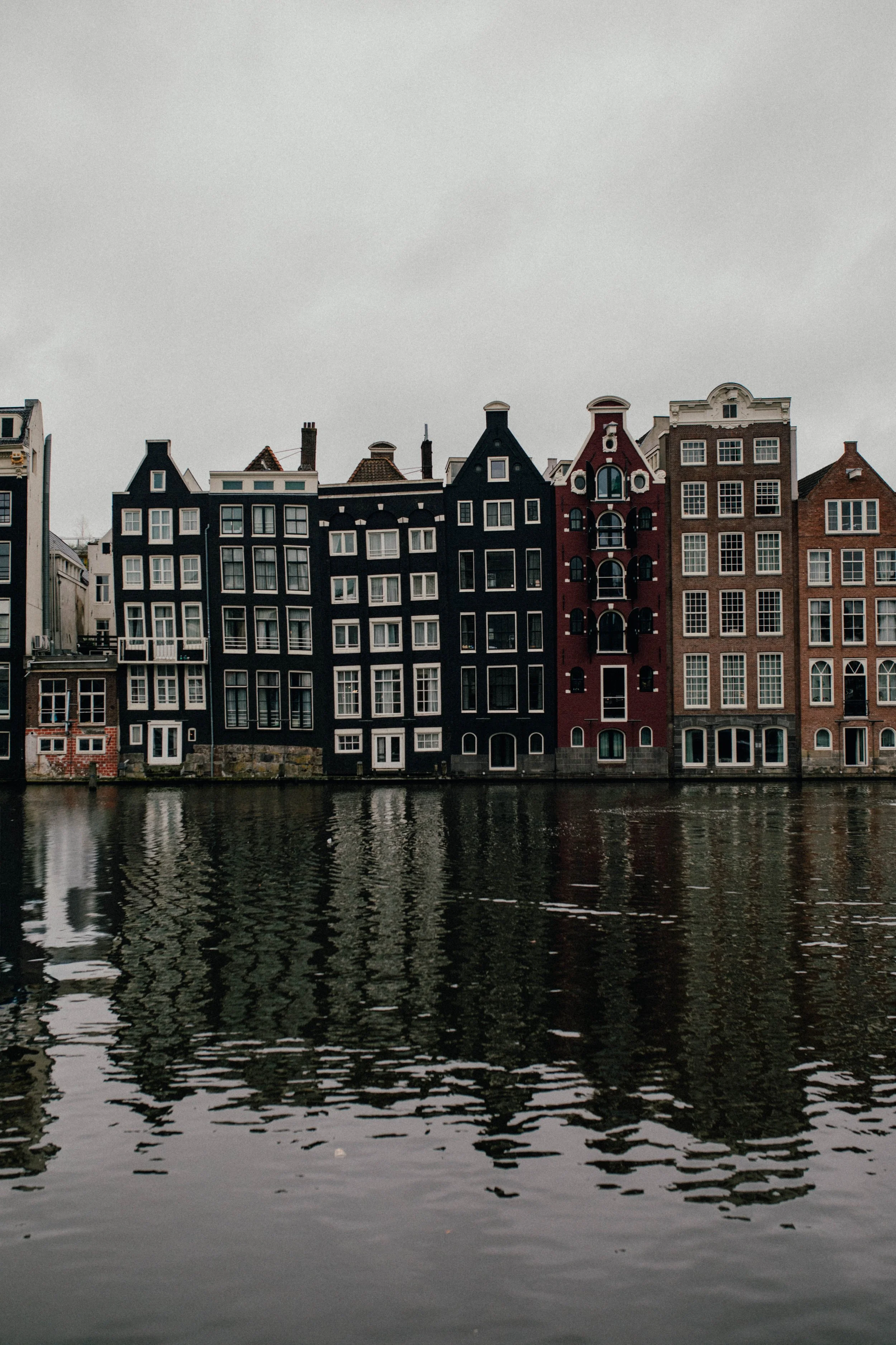 _11A9762-2.jpg