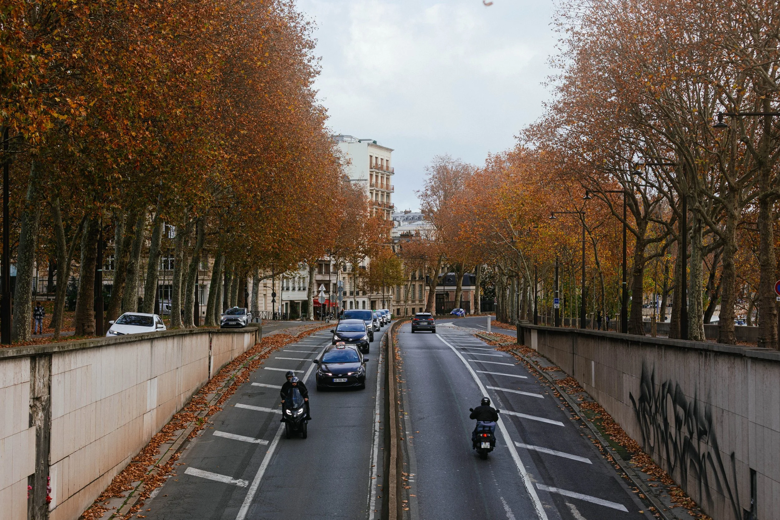 _11A0037.jpg