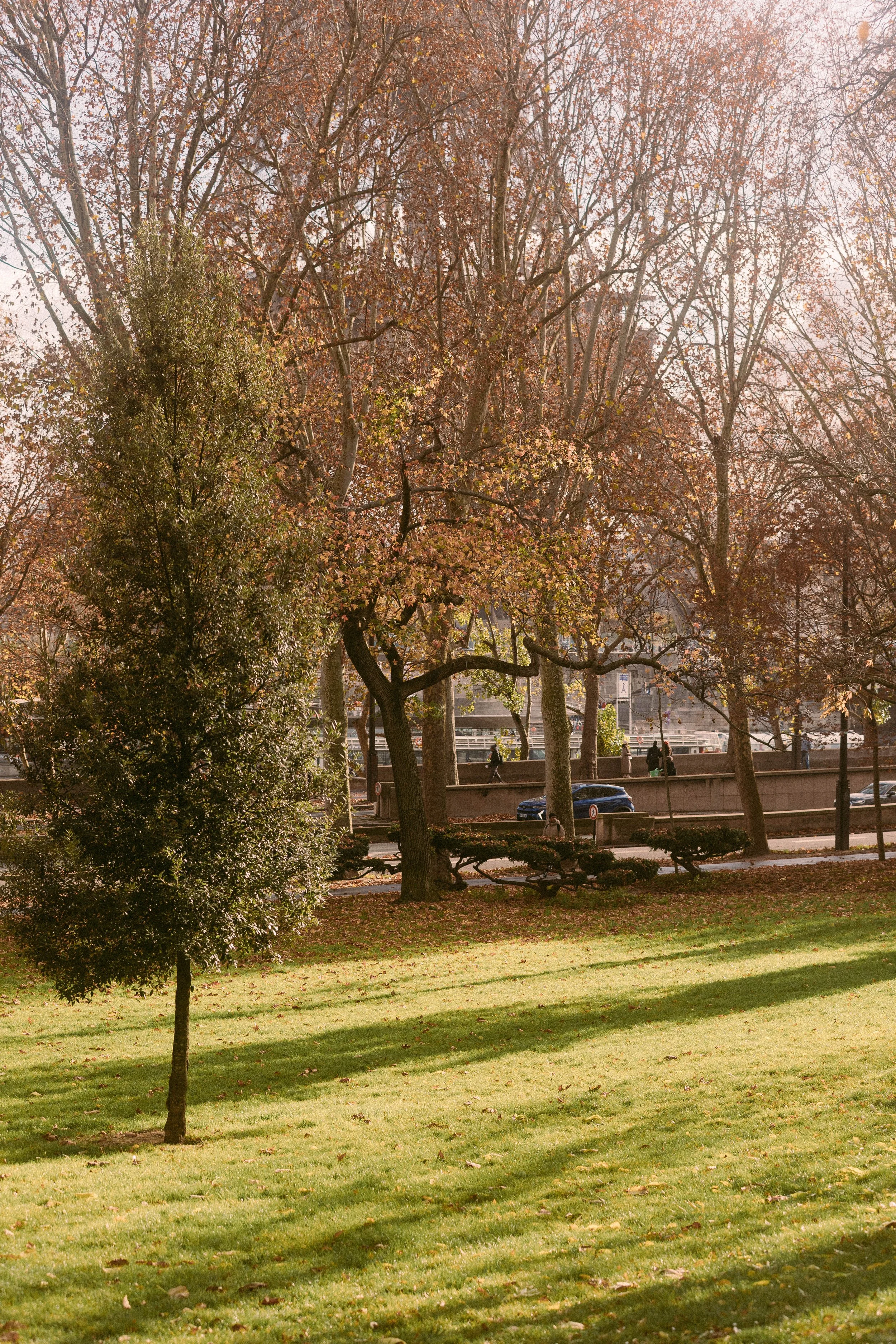 _11A0074-2.jpg