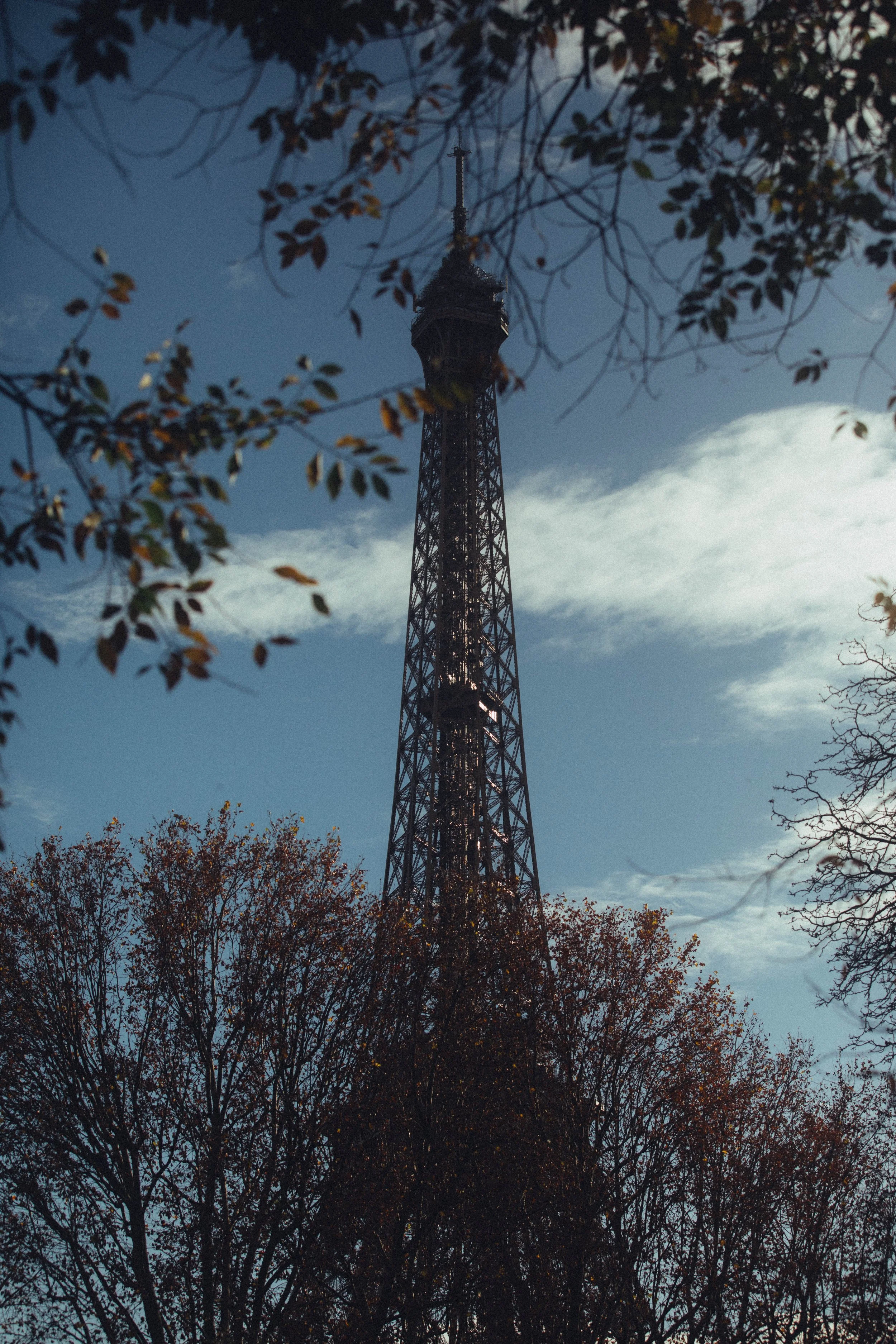 _11A0076.jpg