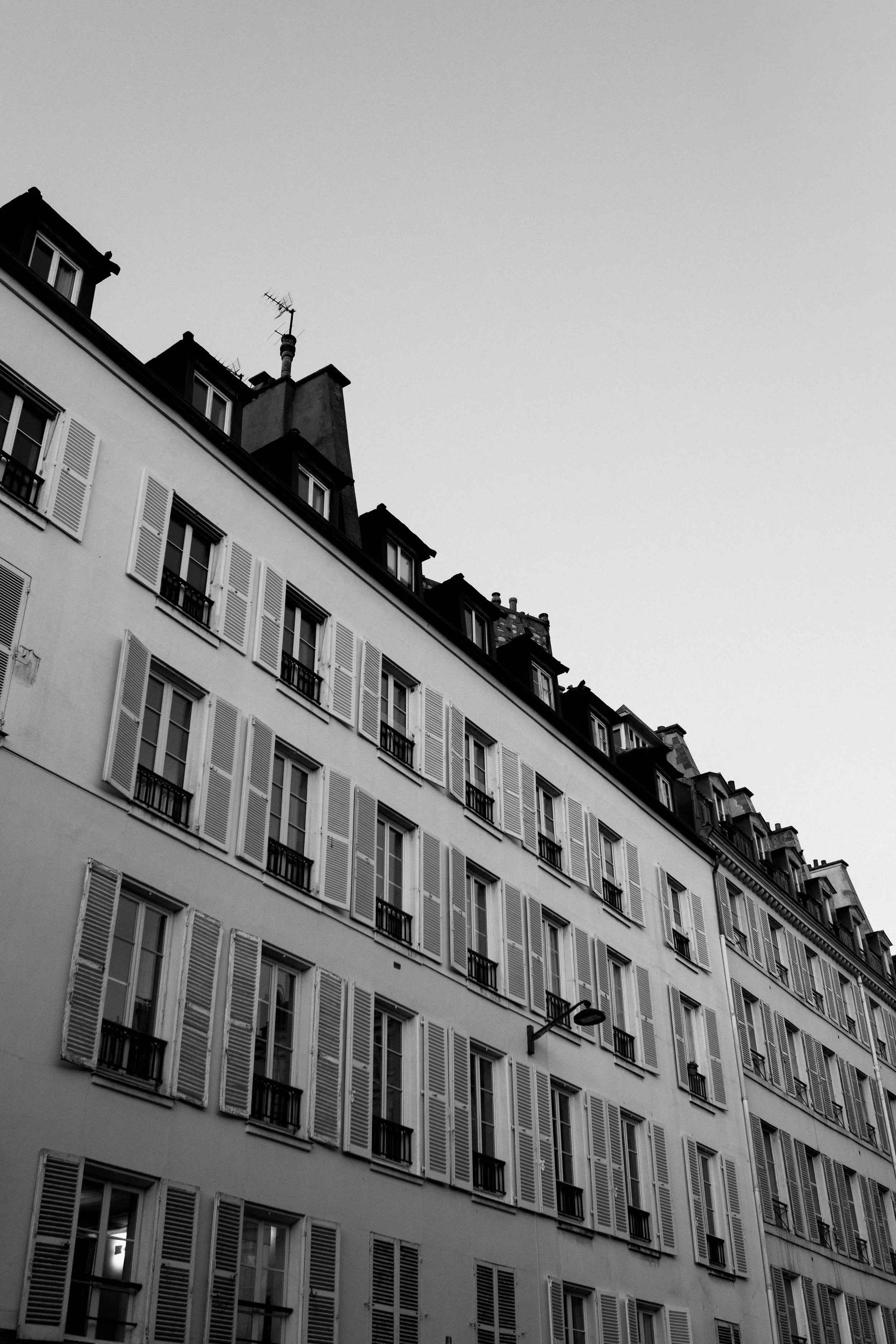 _11A0120.jpg