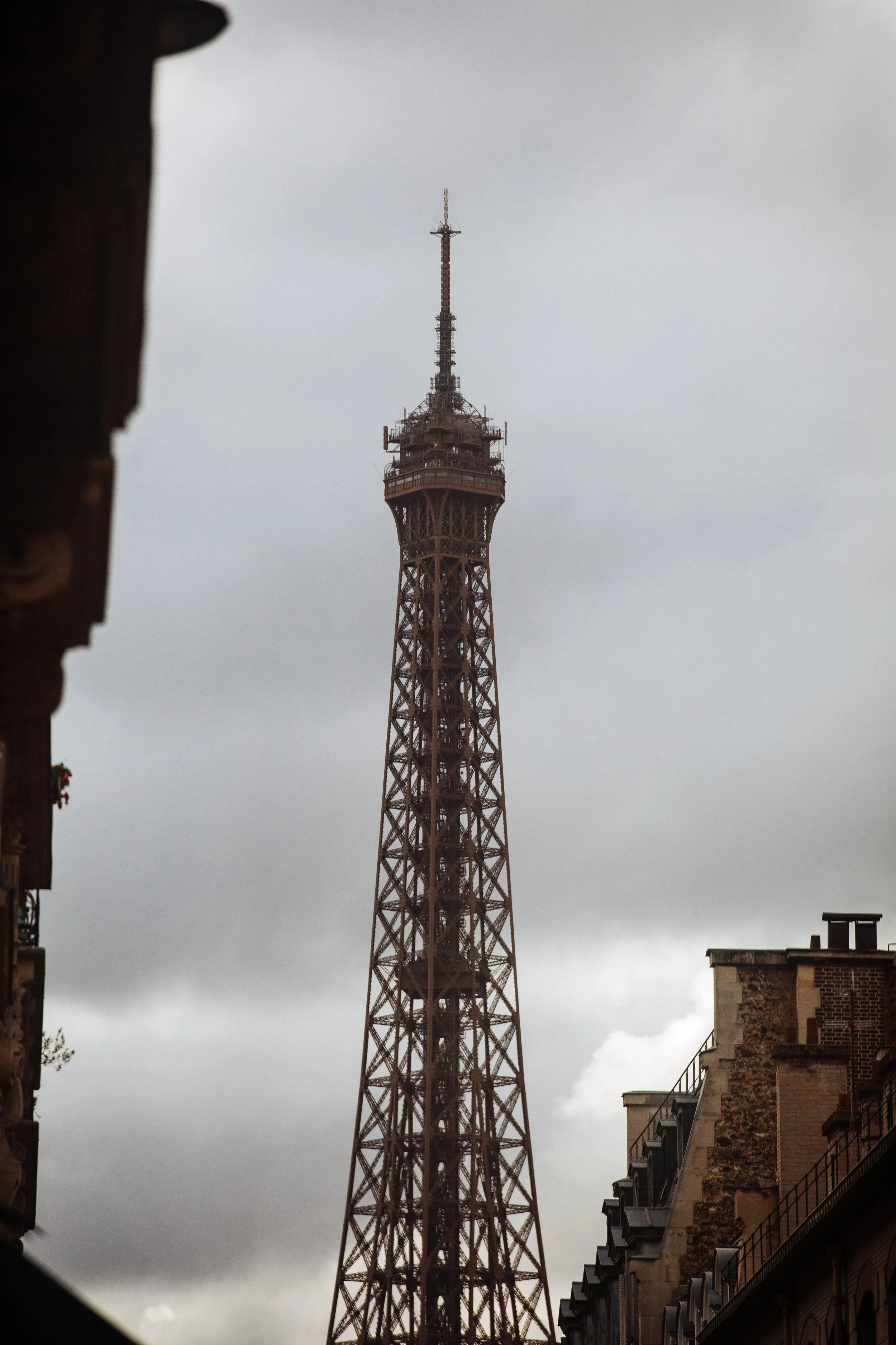 _11A9975-2.jpg