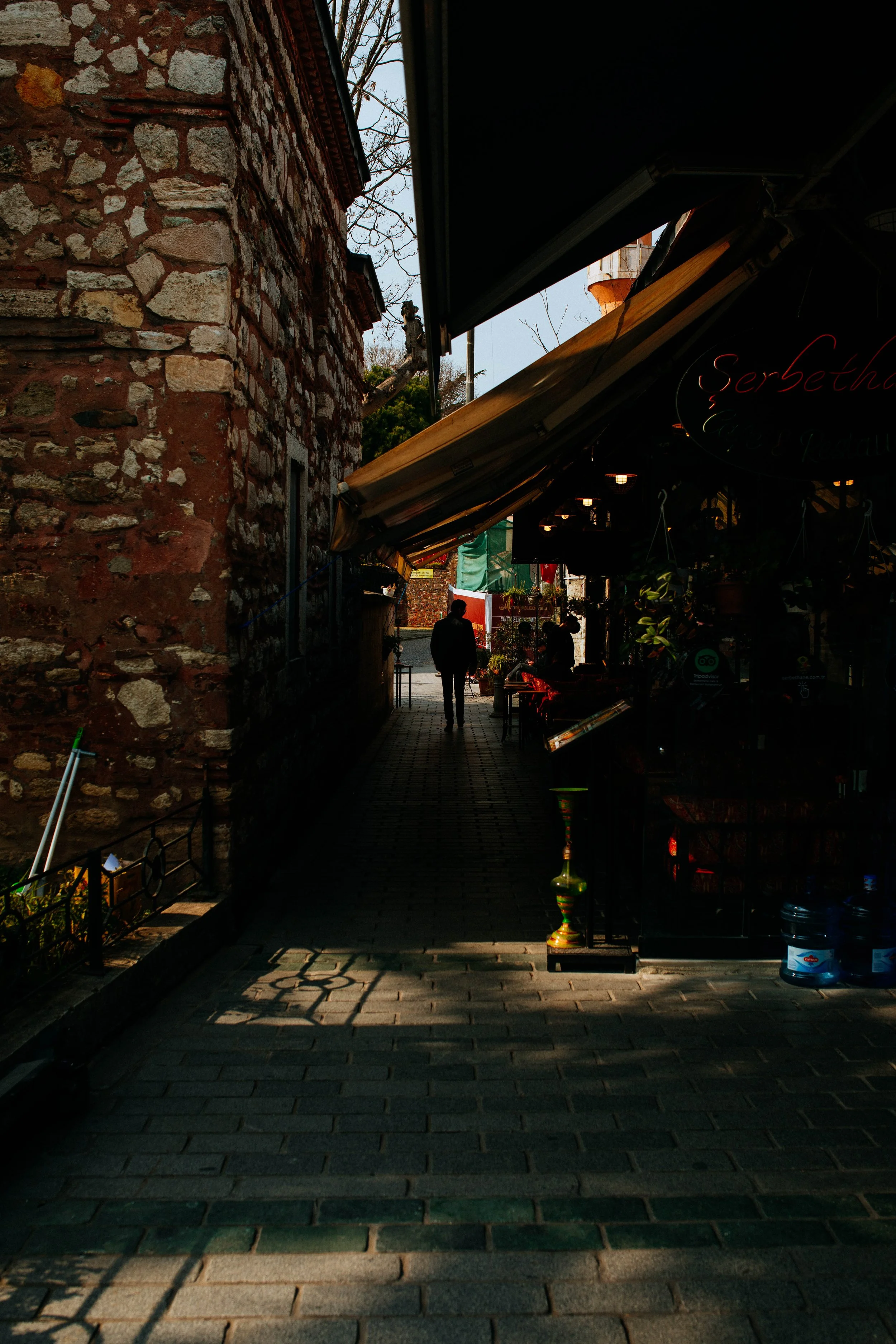 _11A4406.jpg