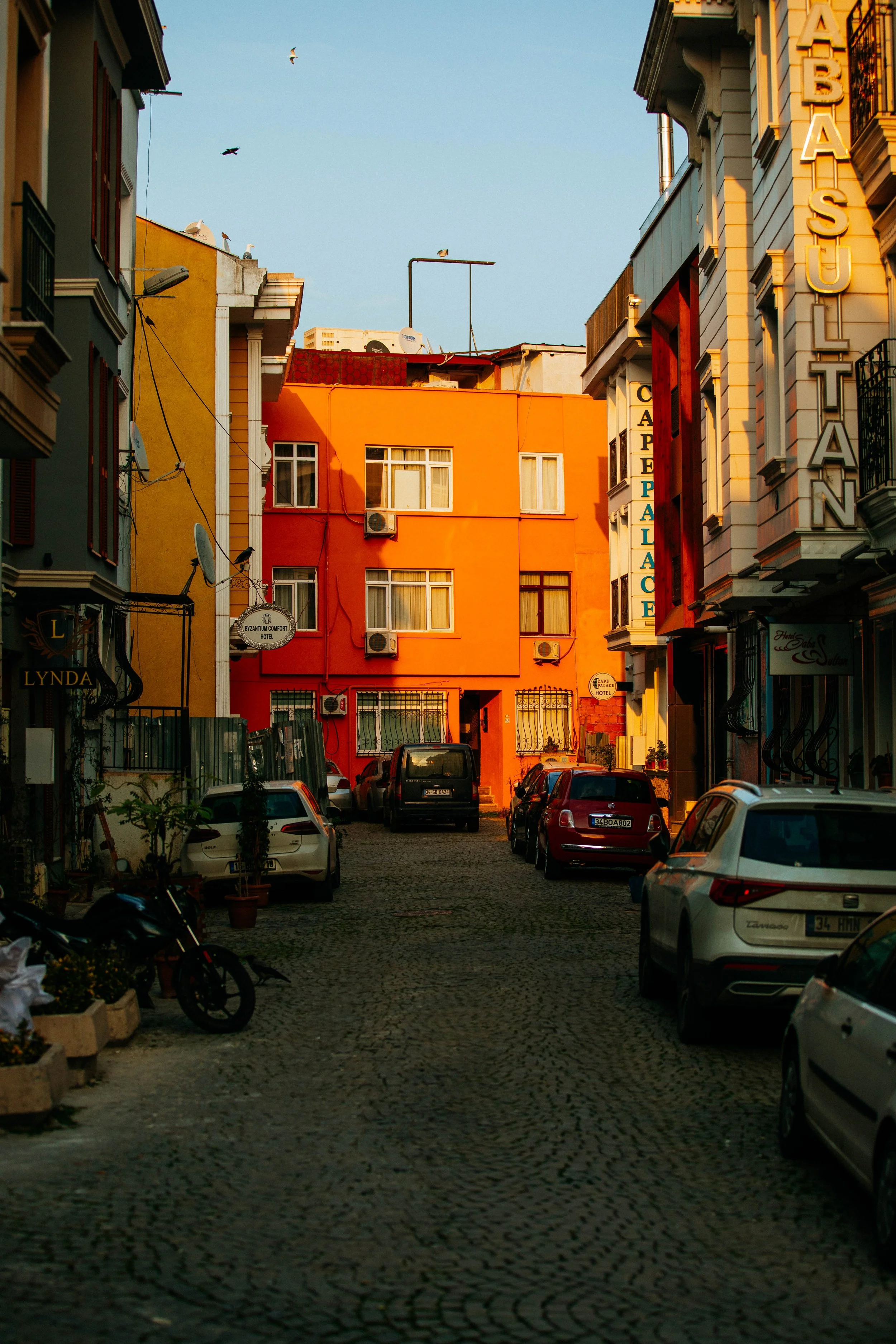 _11A4447.jpg