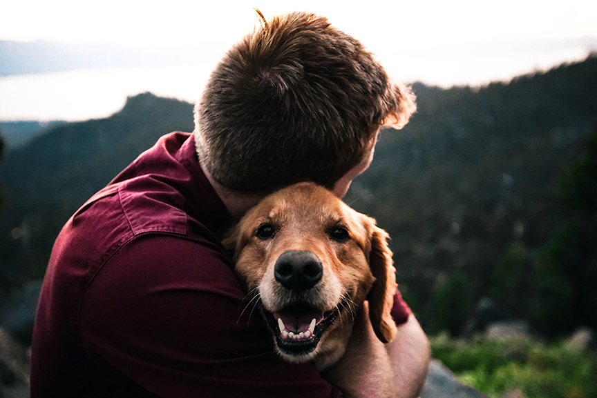 Energy_healing_Animals_Read_more — Welcome to life as balance