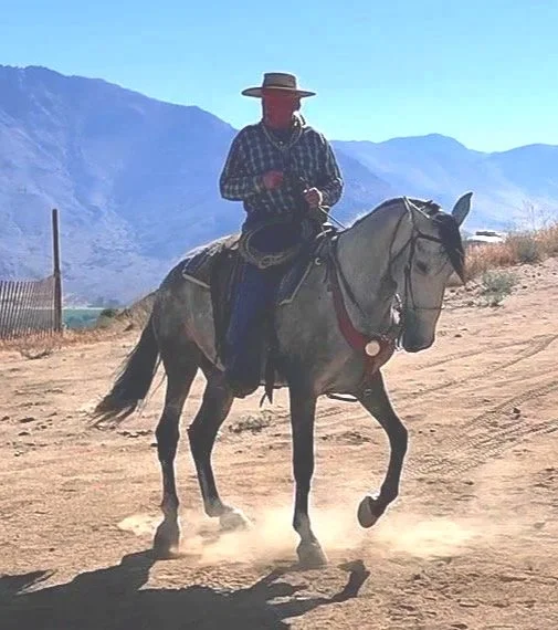 Groundwork &amp; Horsemanship Clinic