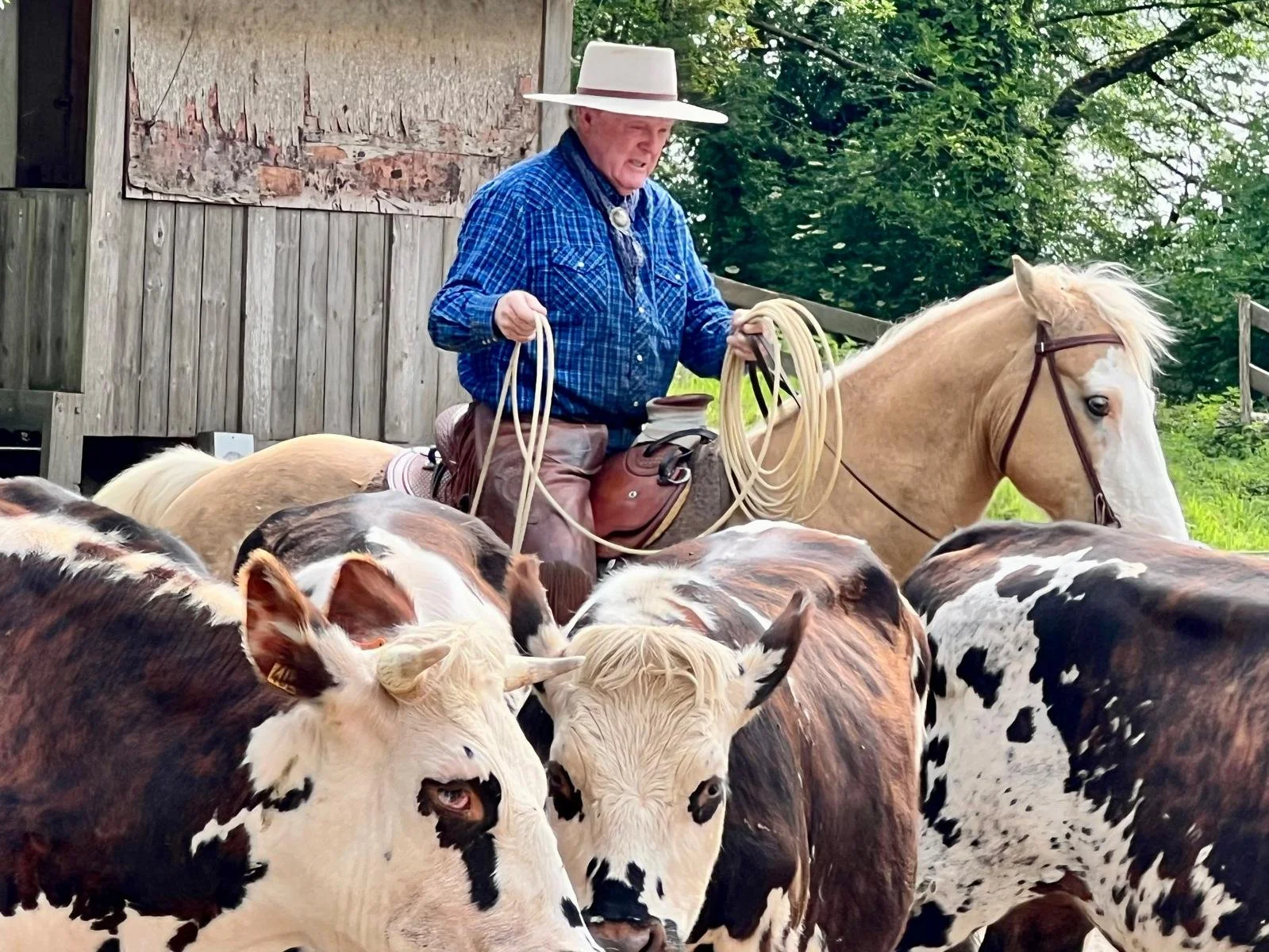 Horsemanship, Cattle Work, &amp; Ranch Roping Gathering