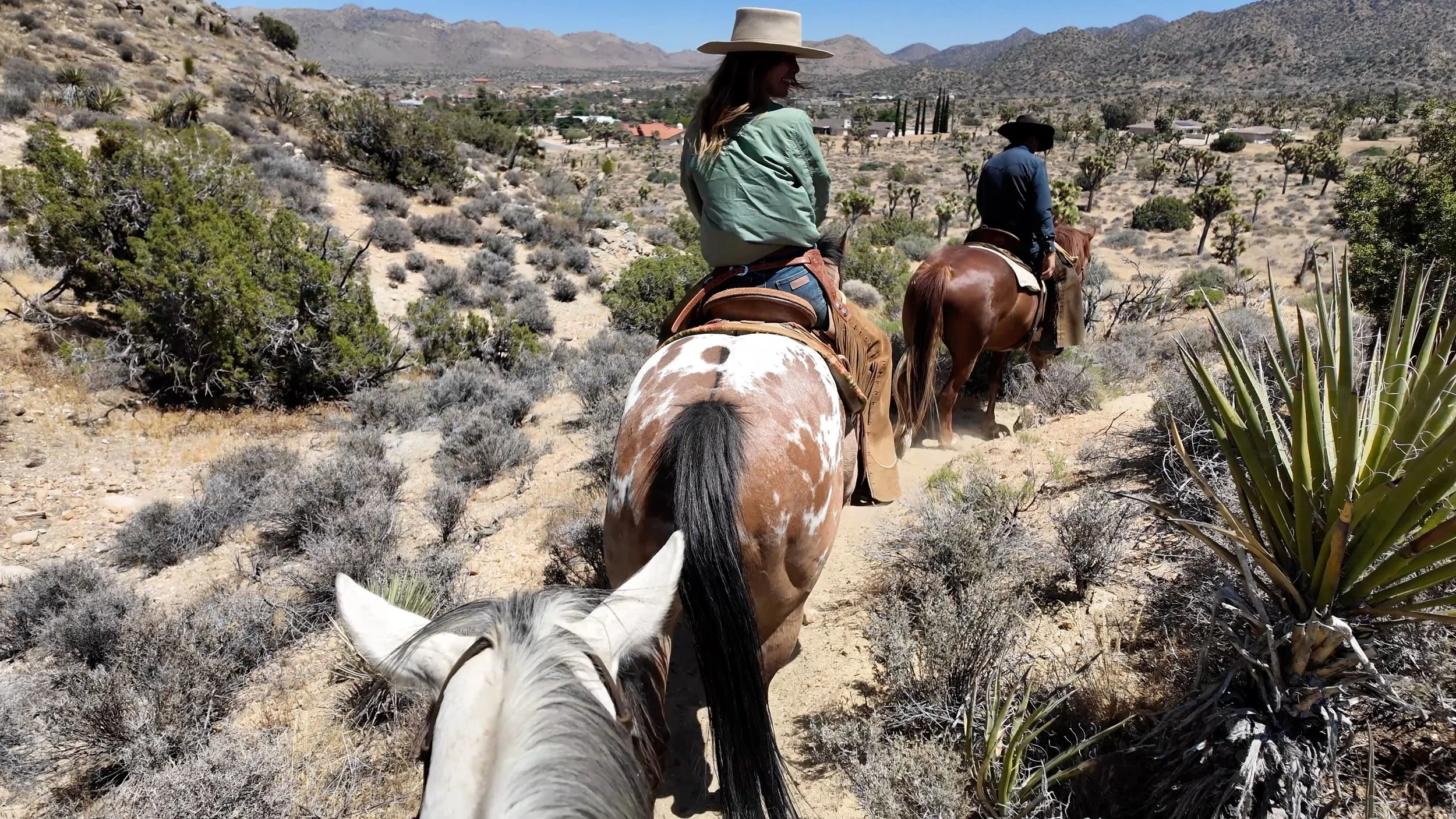 Horsemanship and Trail Riding Clinic - Knob Hill Ranch, Joshua Tree CA