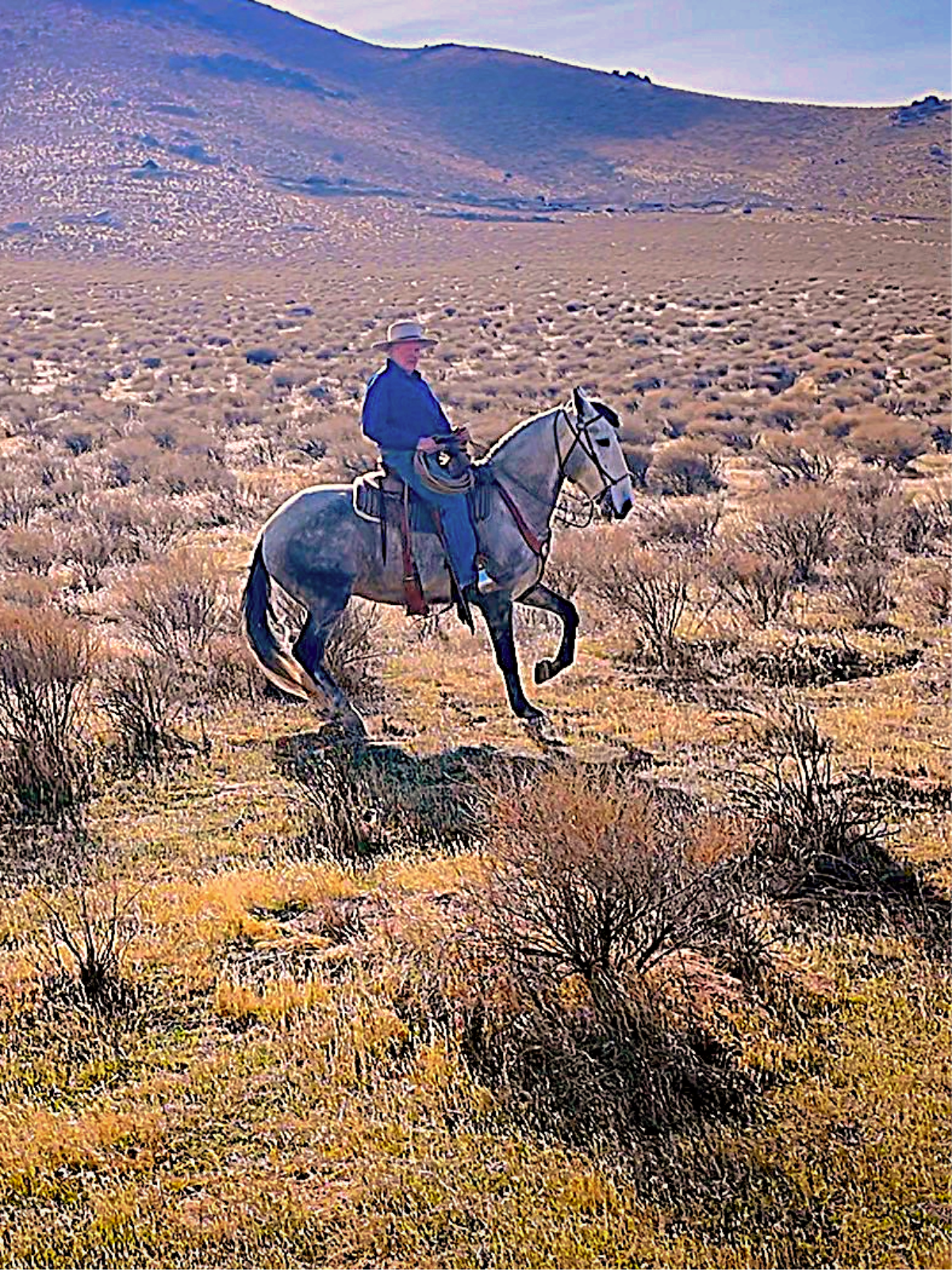 "Dancing in the Desert" - 10 x 13 Giclee Print
