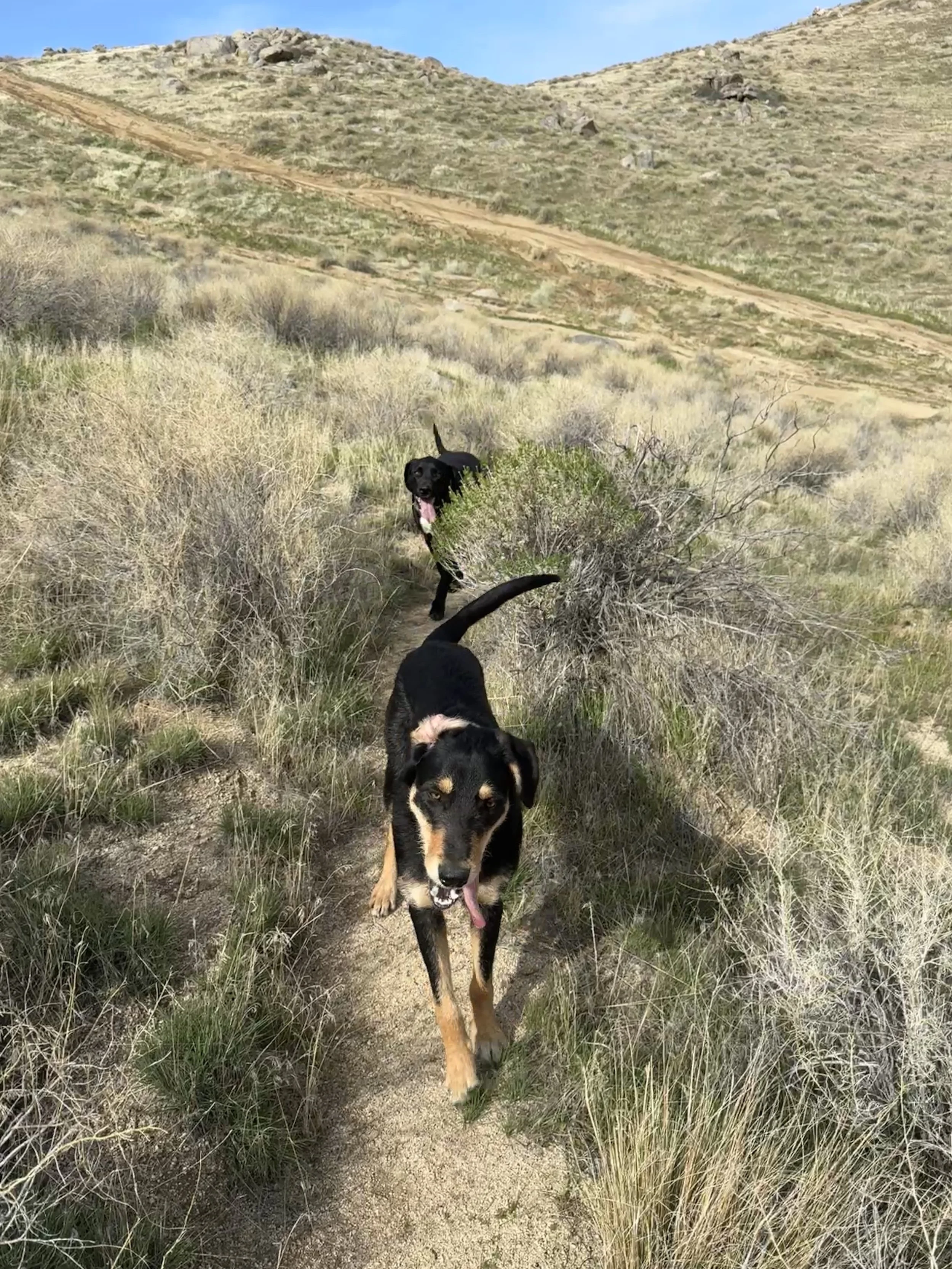 Some Thoughts for People Taking Up Riding as Adults