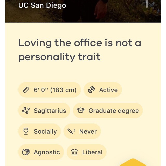 Someone had to say it 🤷🏻&zwj;♀️🐝 #thebumblebums #bumble #tinder #okcupid #hinge #onlinedating #relationshipadvice #comedy #saturday #theoffice #theofficememes
