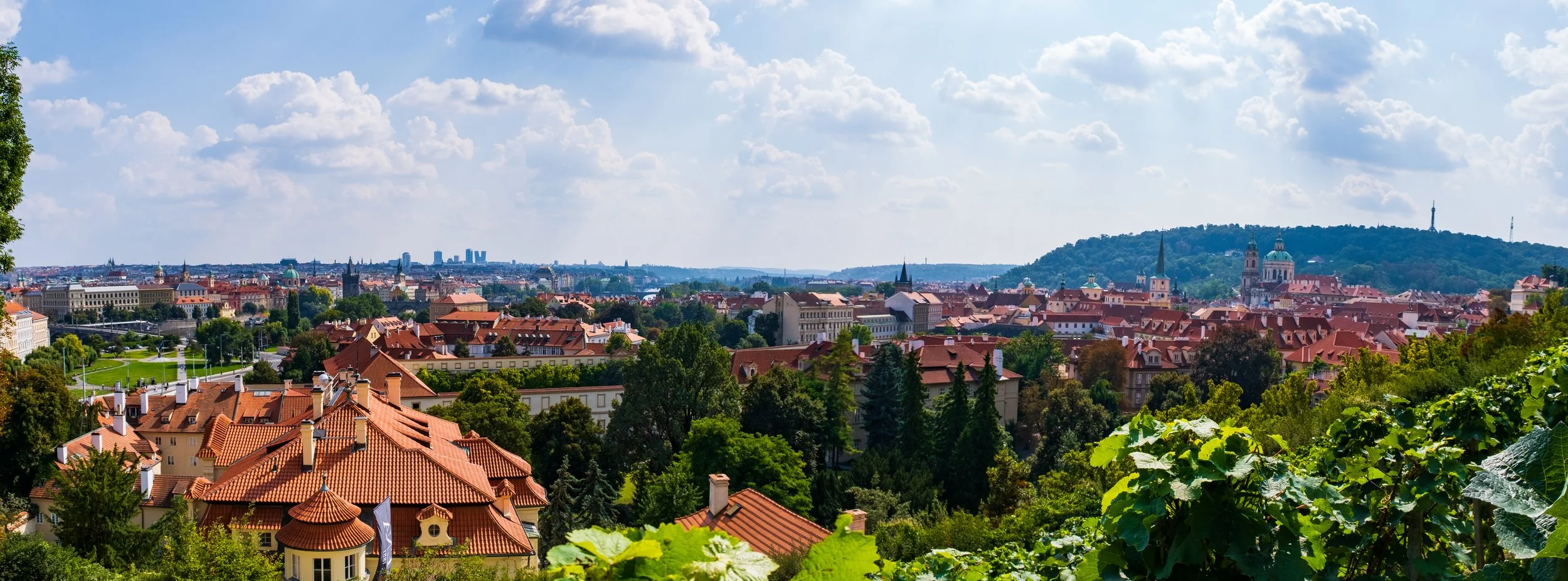 MJCP2269-Pano.JPG