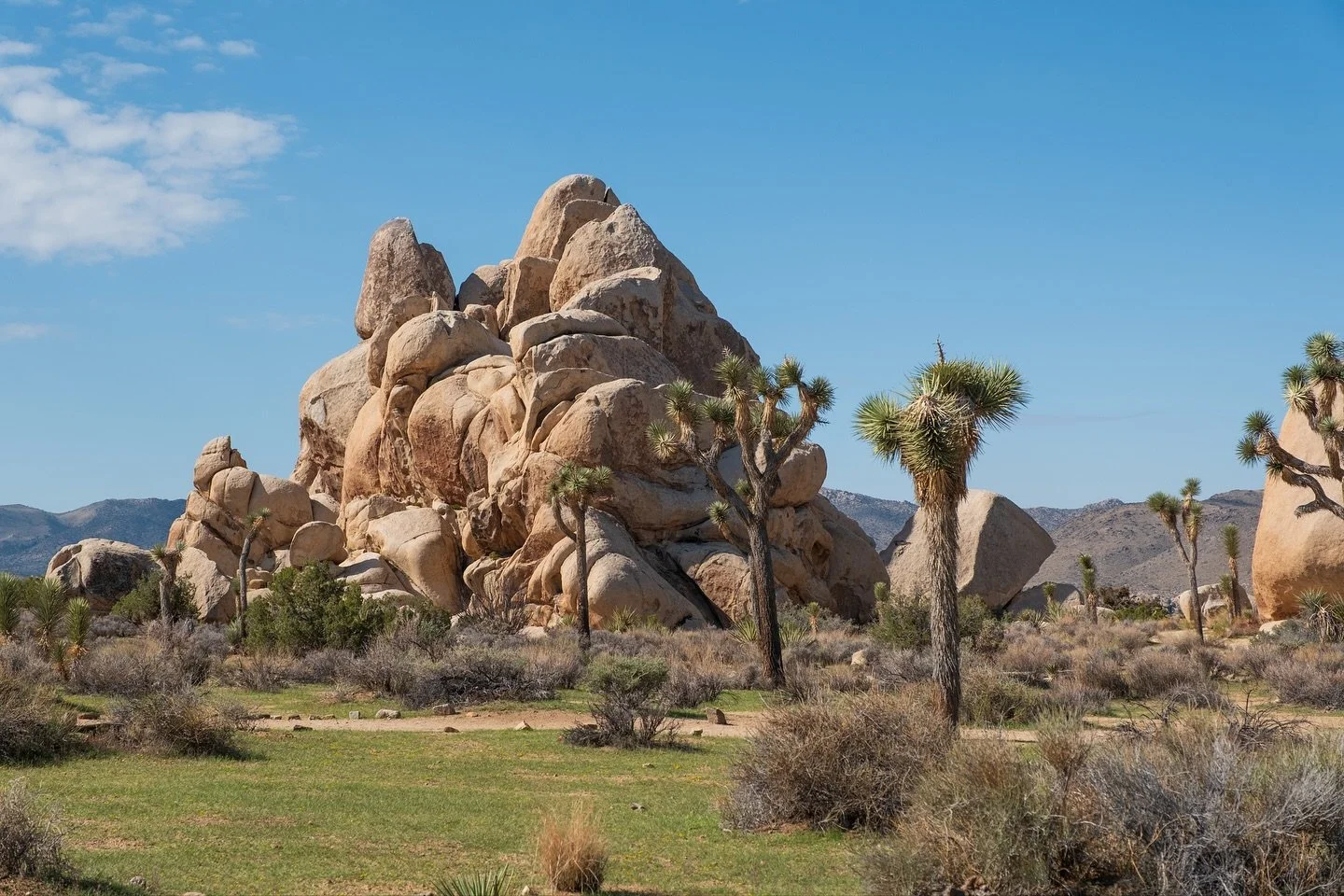 Joshua Tree

September 26, 2025 | Fuji X-H2 w/16-55 f2.8 II