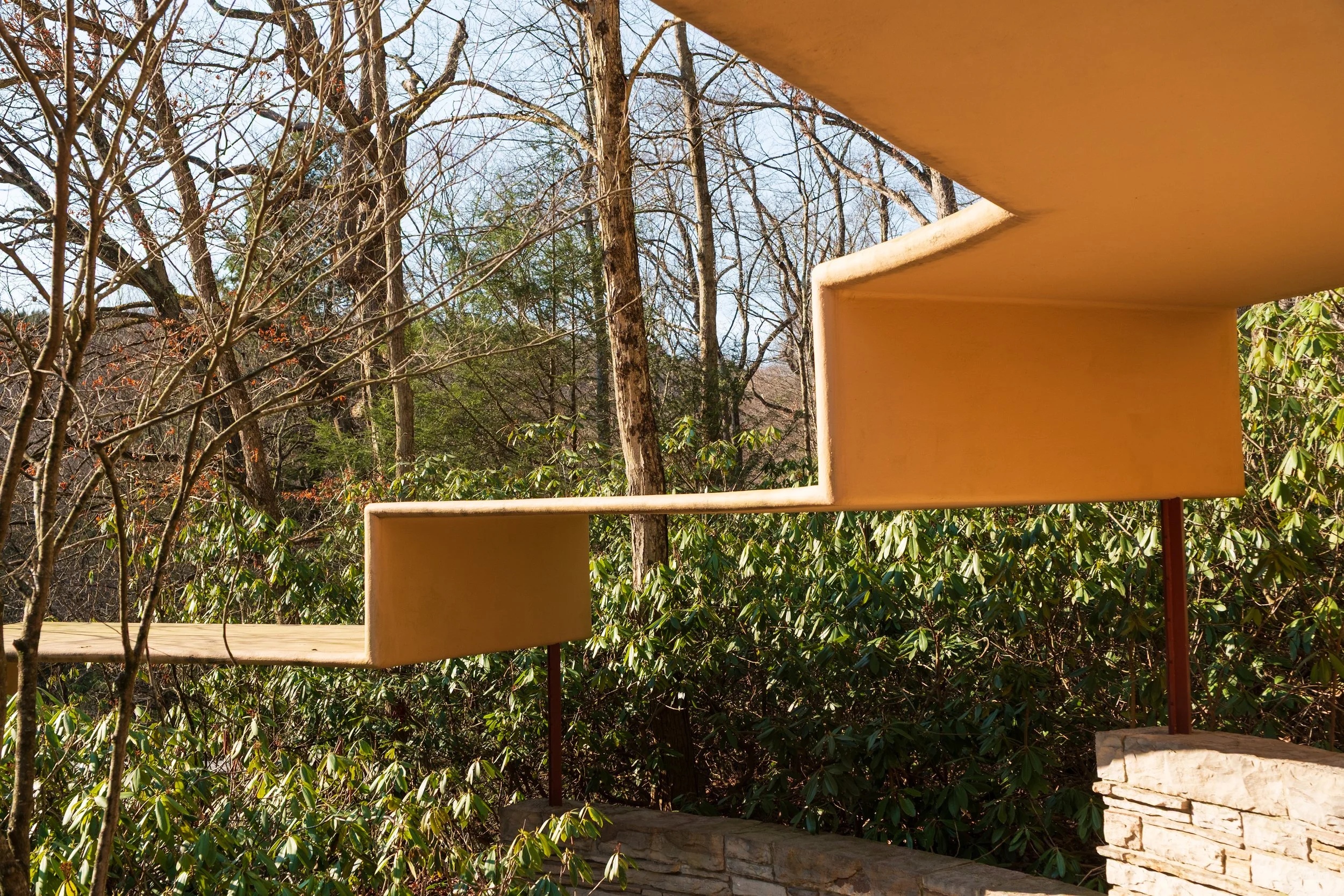 Website Version-11.jpg