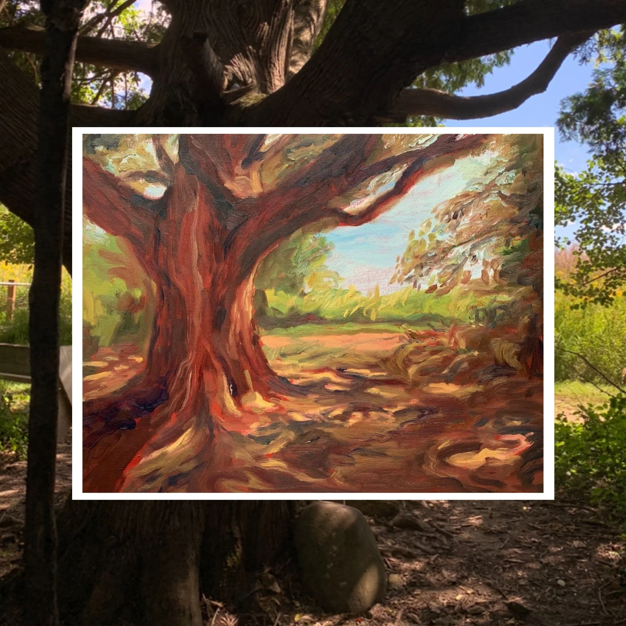 shaded-tree-shop-cover.jpg