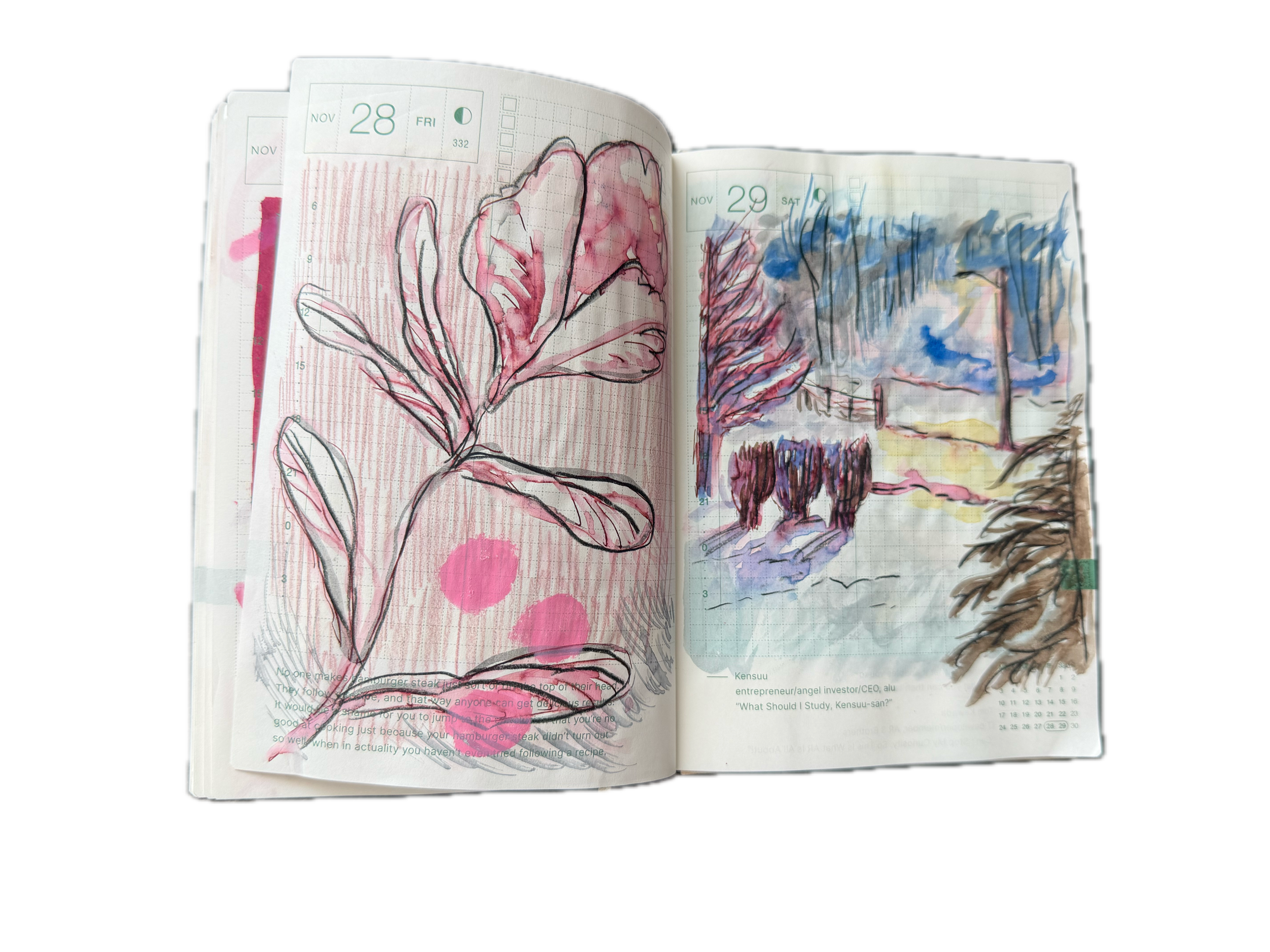 IMG_8481 Background Removed.png