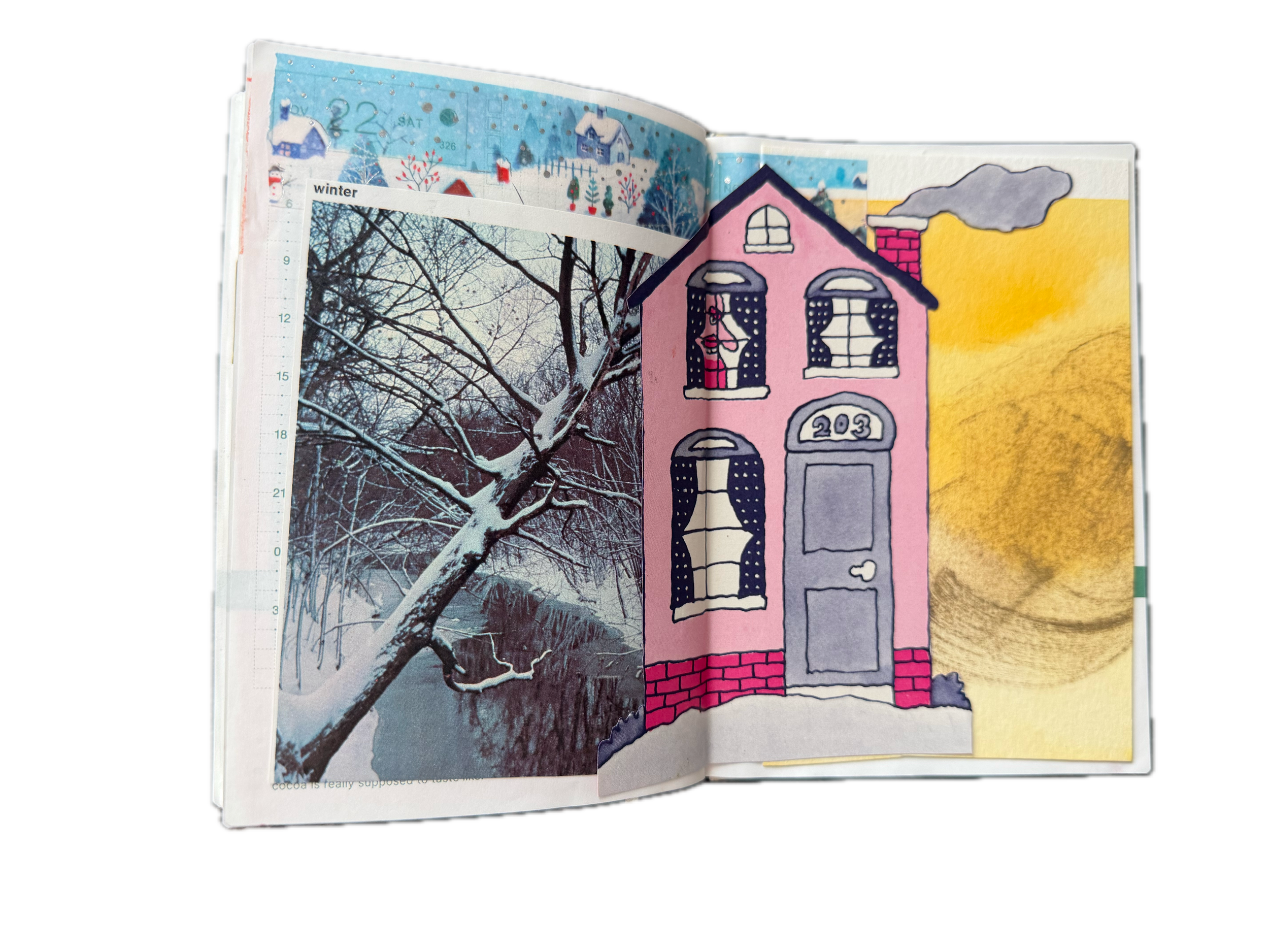 IMG_8477 Background Removed.png