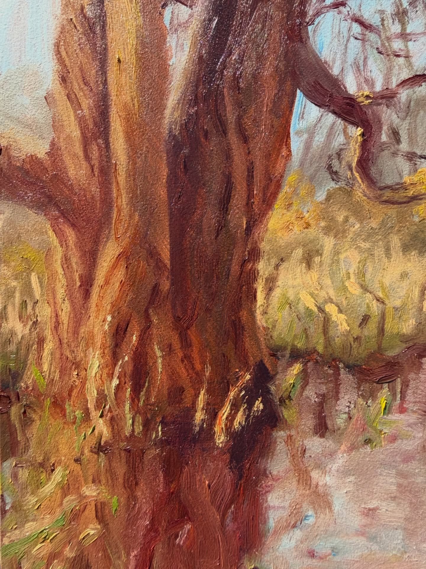 a beautiful earth day spent with the trees 💞💞 late afternoon with my new mini plein air easel, oil on panel, 8x6 

#landscapeart #naturelove #oilpainting #pleinair #earthday