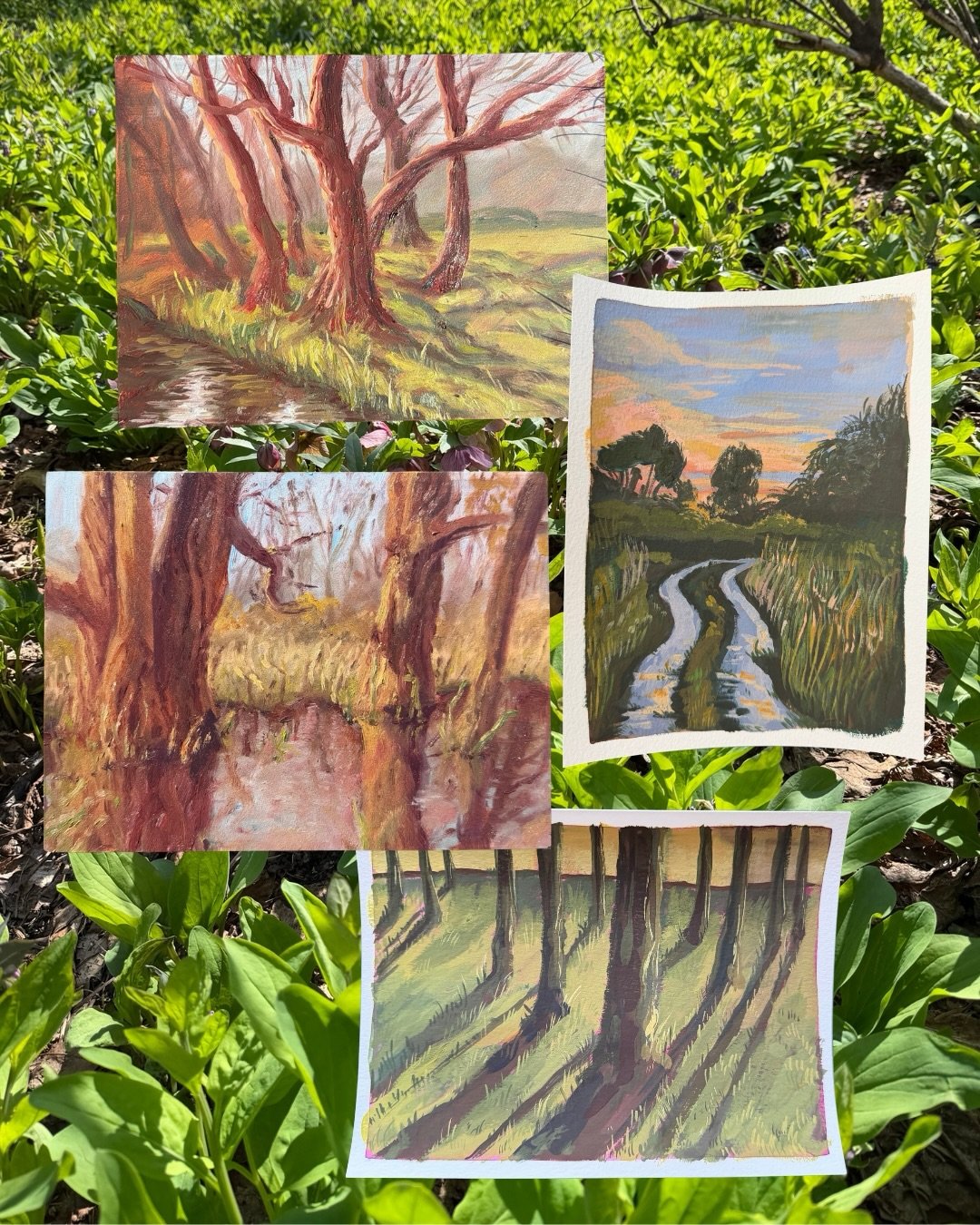 🌱 four new paintings new available in my shop! ✨ each of these are 8x6, a wonderful small spring-time addition to an office space, bedroom, bookshelf, or as a gift! free shipping @ www.ktgg.art (link in bio) 🫶 check it out! 

#pleinair #landscapepa