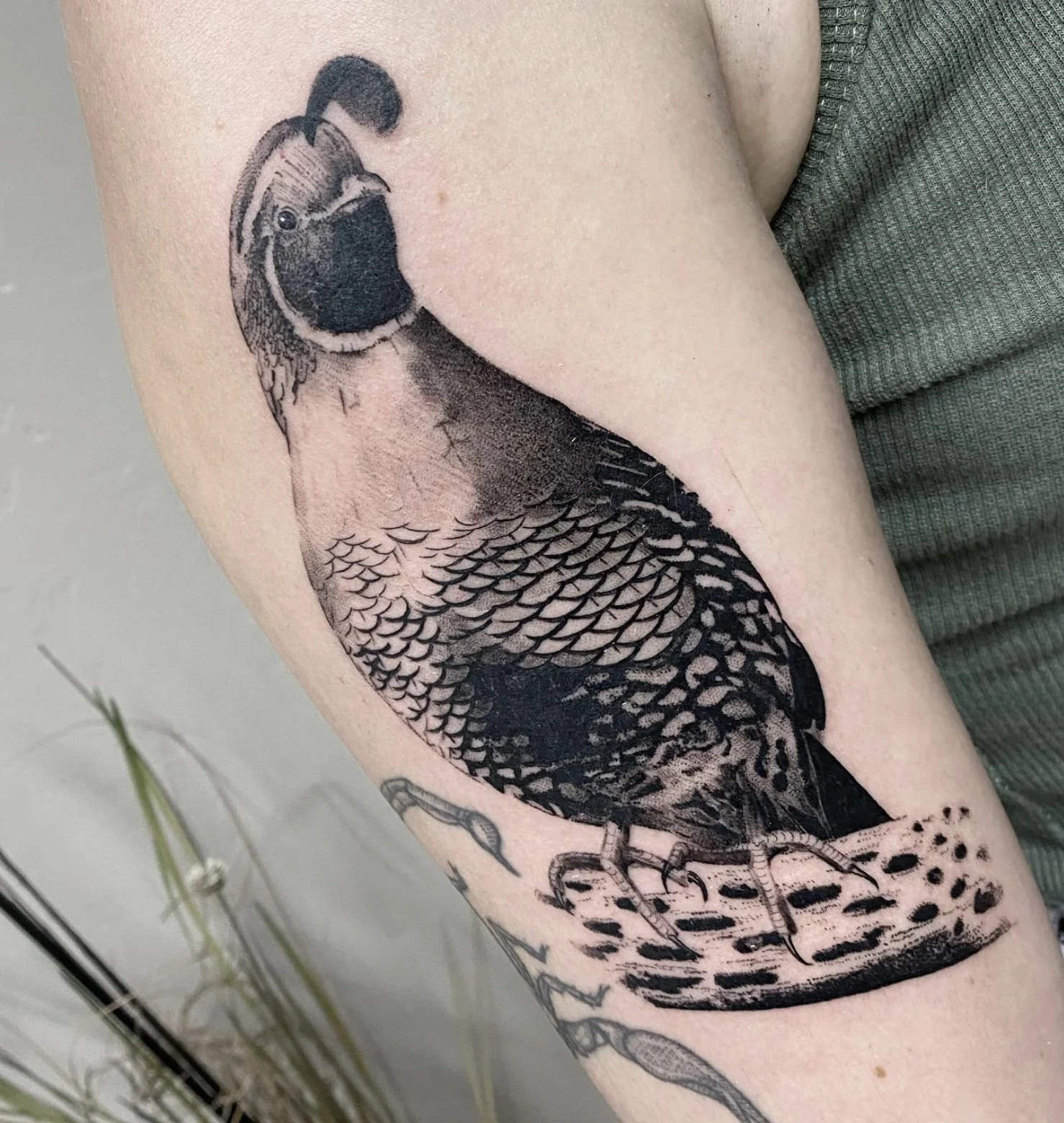 Image 4-10-26 at 4.30 PM.jpeg