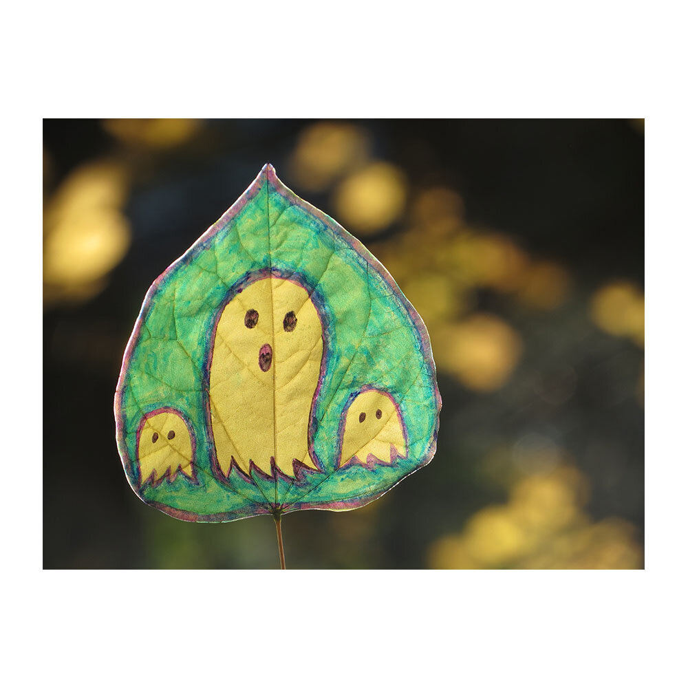 boo3-thumbnail.jpg