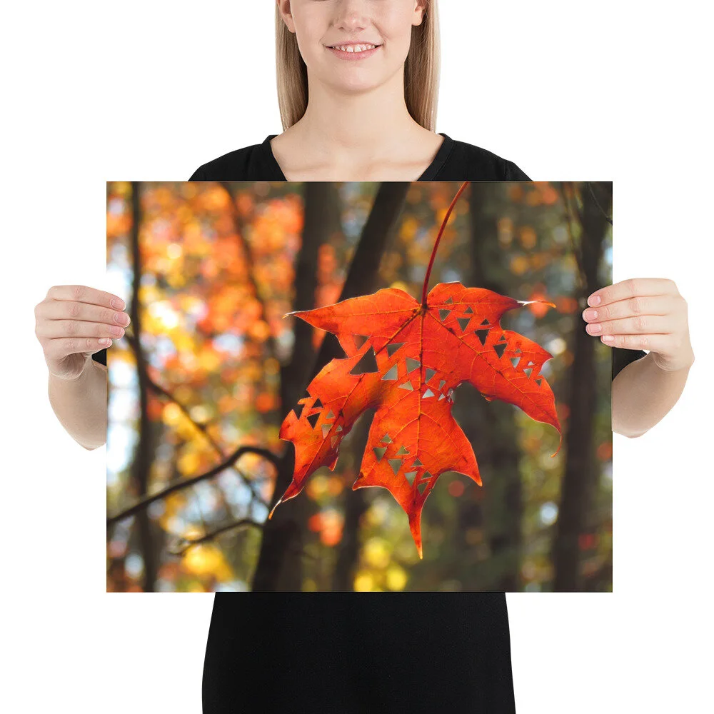 premium-luster-photo-paper-poster-(in)-16x20-person-616526dae7008.jpg