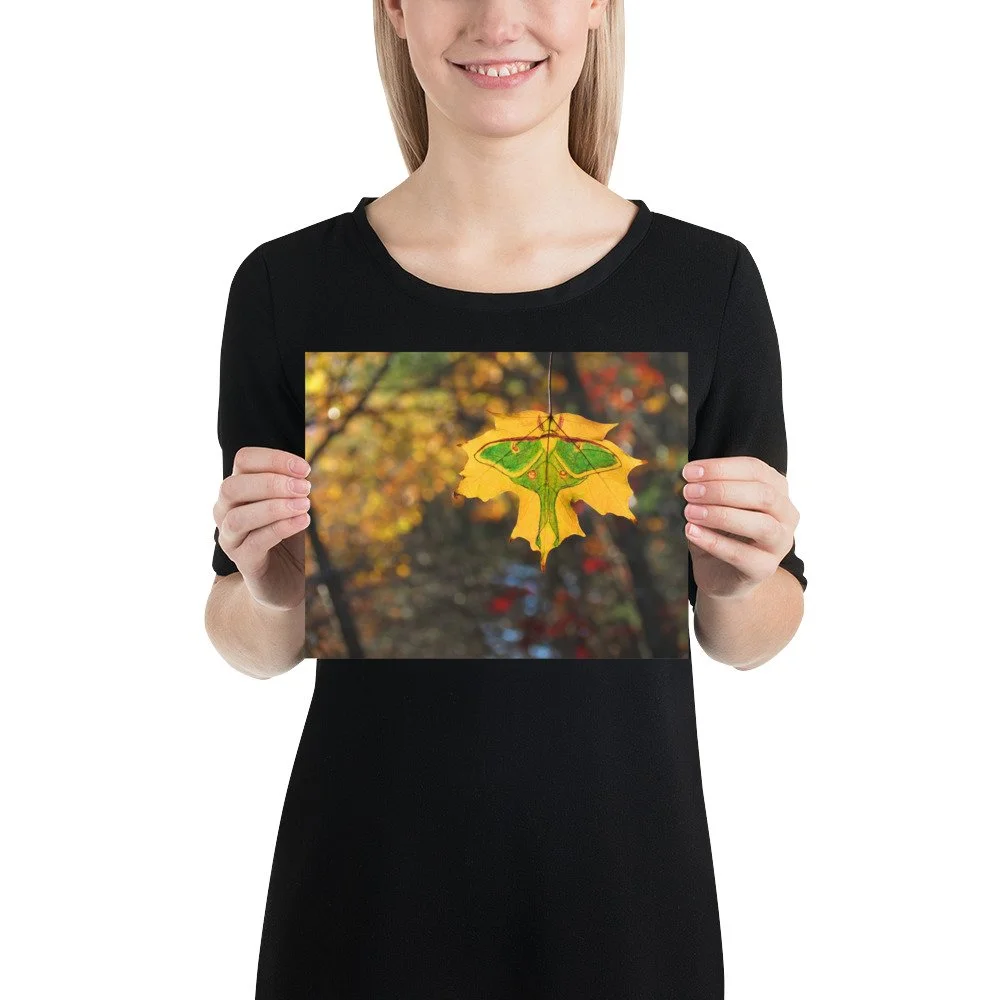 premium-luster-photo-paper-poster-(in)-8x10-person-618f53999153e.jpg