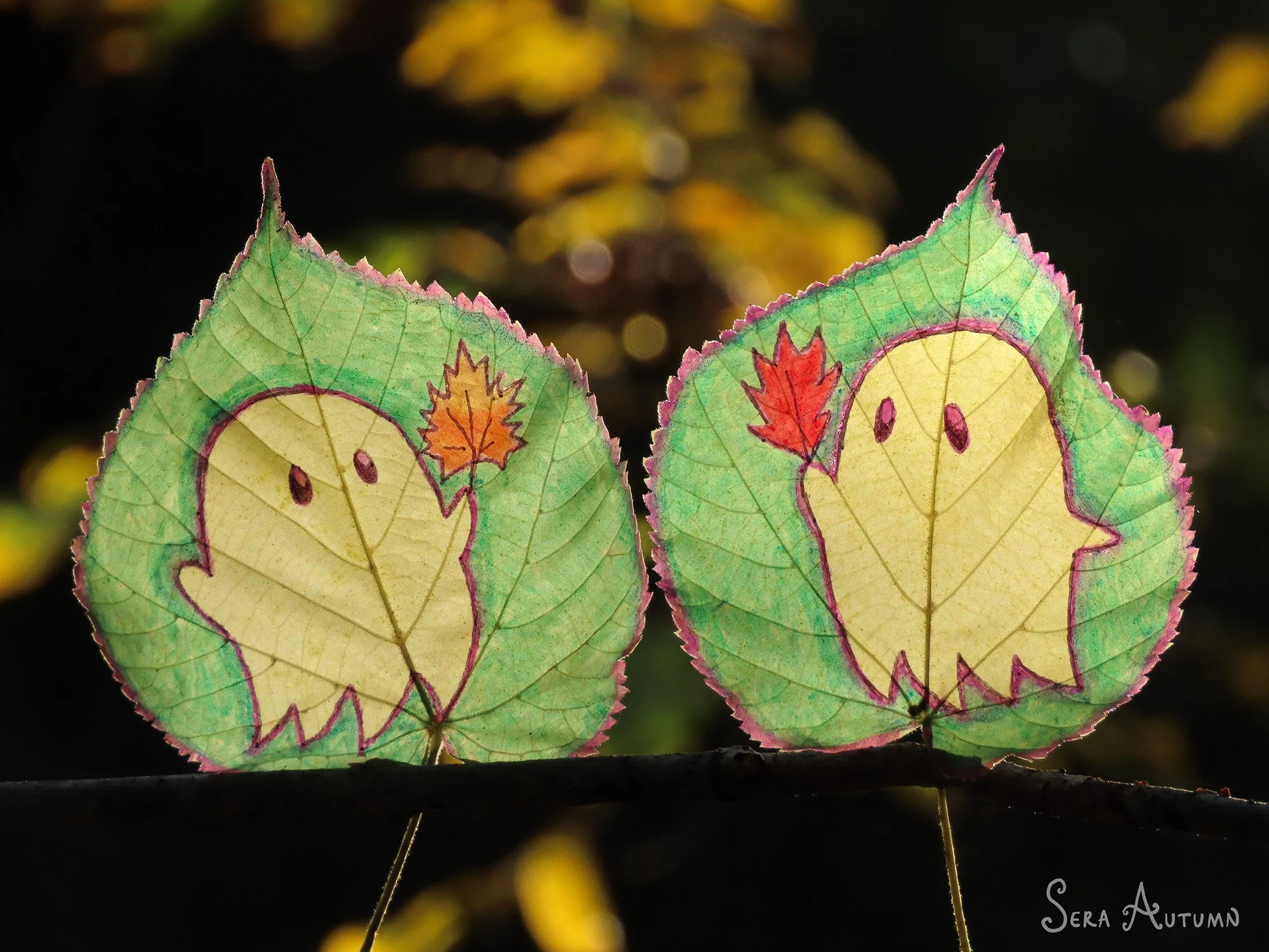 20241001 twoghostleavesbranchyellowglowcloseup5.jpg