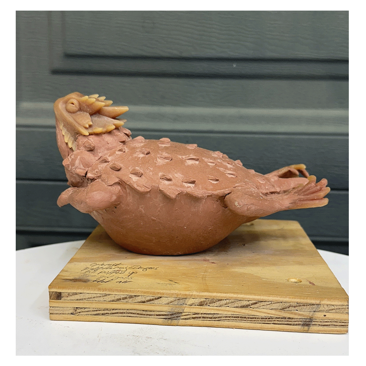 Horned Toad Puffed- Precast