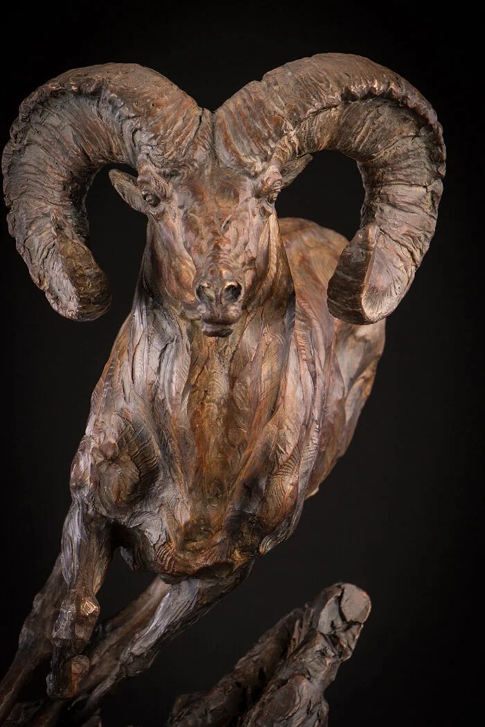 Ken-Rowe-Bronze-Sculpture-Big Horn Sheep _Cliff Hanger_Front Detail.jpg