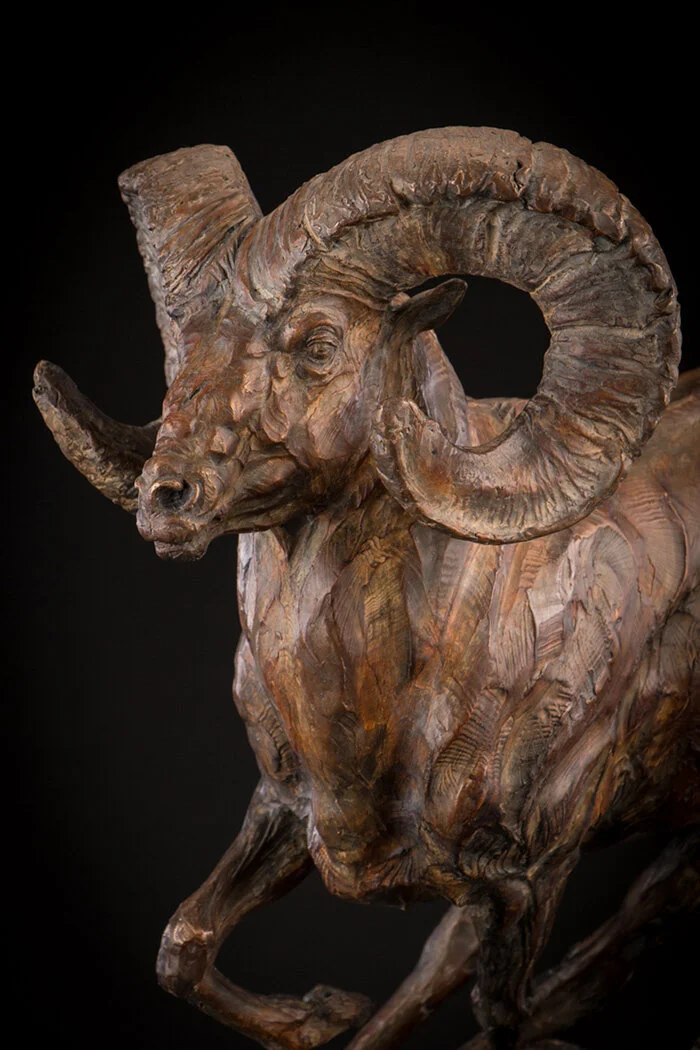 Ken-Rowe-Bronze-Sculpture-Big Horn Sheep _Cliff Hanger_Head detail 23.jpg