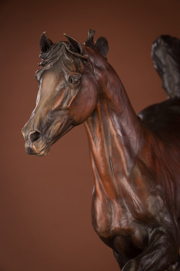 Ken Rowe Horse_Noble Express_Head Detail-20.jpg