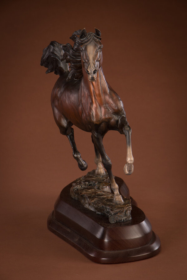Ken Rowe Horse_Noble Express_Head On-15.jpg