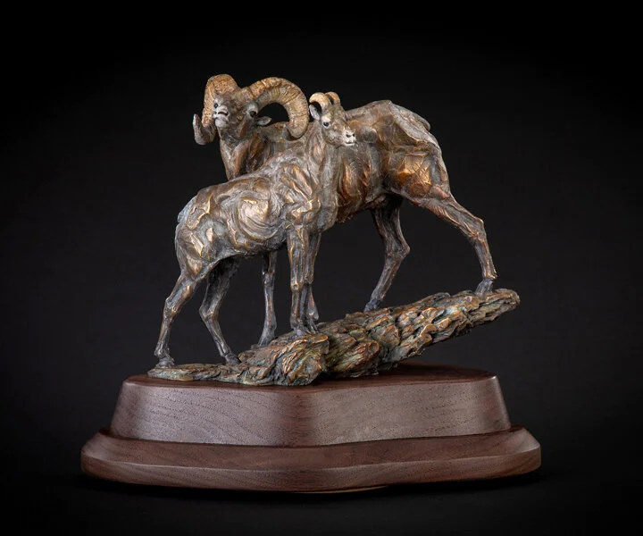 Ken-Rowe-Bronze-Sculpture-Sheep-Looking for Ewe-Front-view.jpg