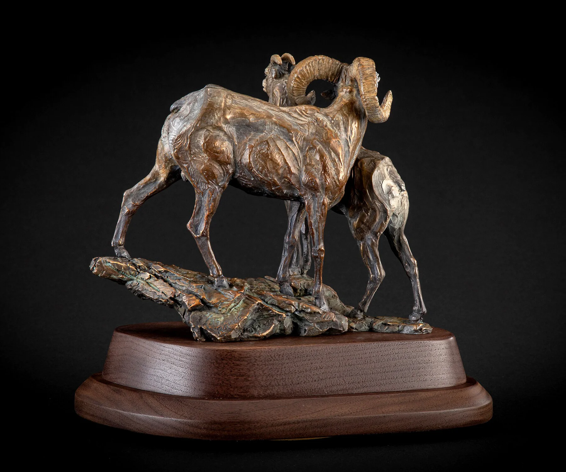 Ken-Rowe-Bronze-Sculpture-Sheep-Looking for Ewe-Back-view.jpg