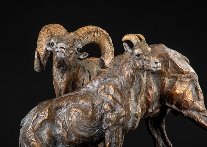 Ken-Rowe-Bronze-Sculpture-Sheep-Looking for Ewe-Detail.jpg