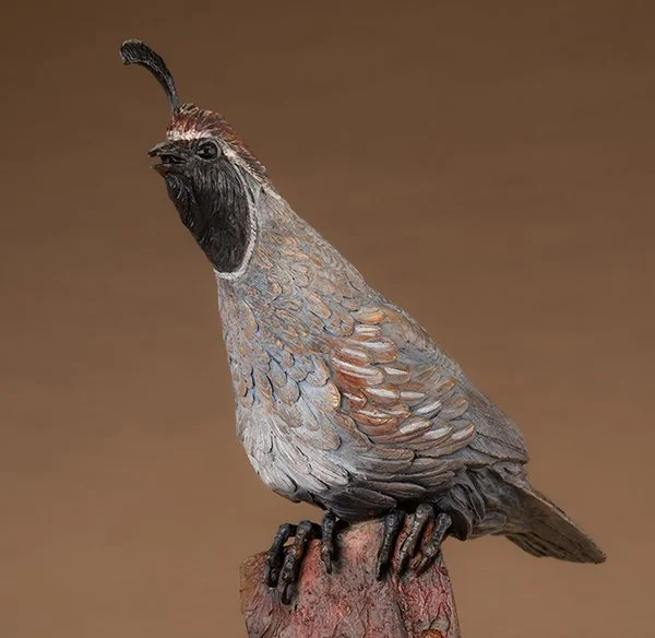 Male_Call_Bronze_Quail_Ken_Rowe_Close_600.jpg