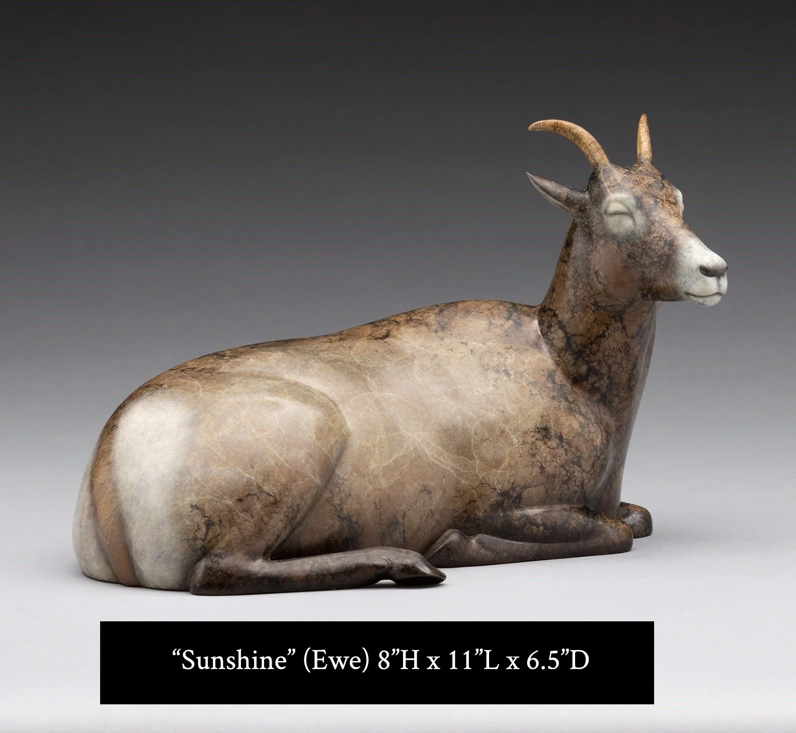 Sunshine- Big Horn Sheep Maquette with name and dimensions_web.jpg