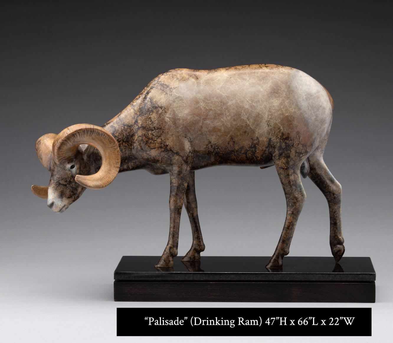 Palisade -Lifesize with Dimensions .png