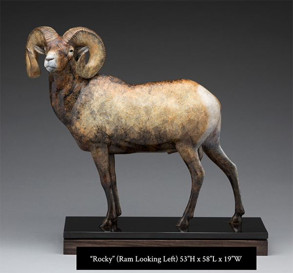 Rocky Life Size with Size and Name.png