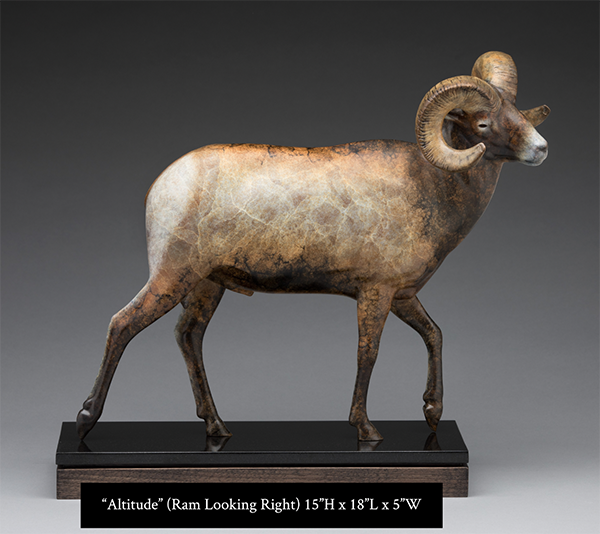 Altitude Maquette Size Name.png