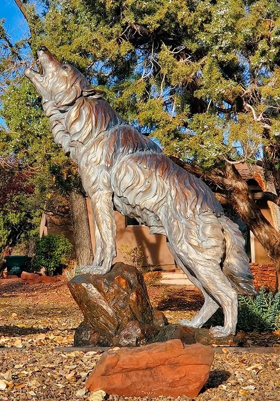 The Howling Wind_Wolf_Ken_Rowe_Standing_800.jpg