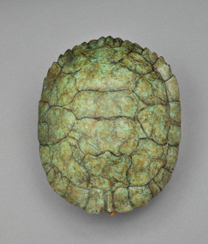 Joshua-Tobey-bronze-sculpture-Turtle-Shelter in Place-Top View.jpg