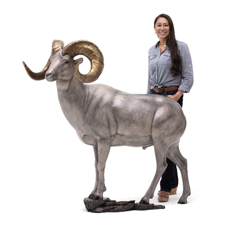 Chugach (Dall Sheep)