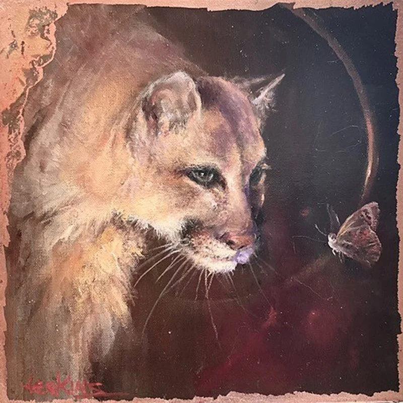 Mountain Lion with Butterfly