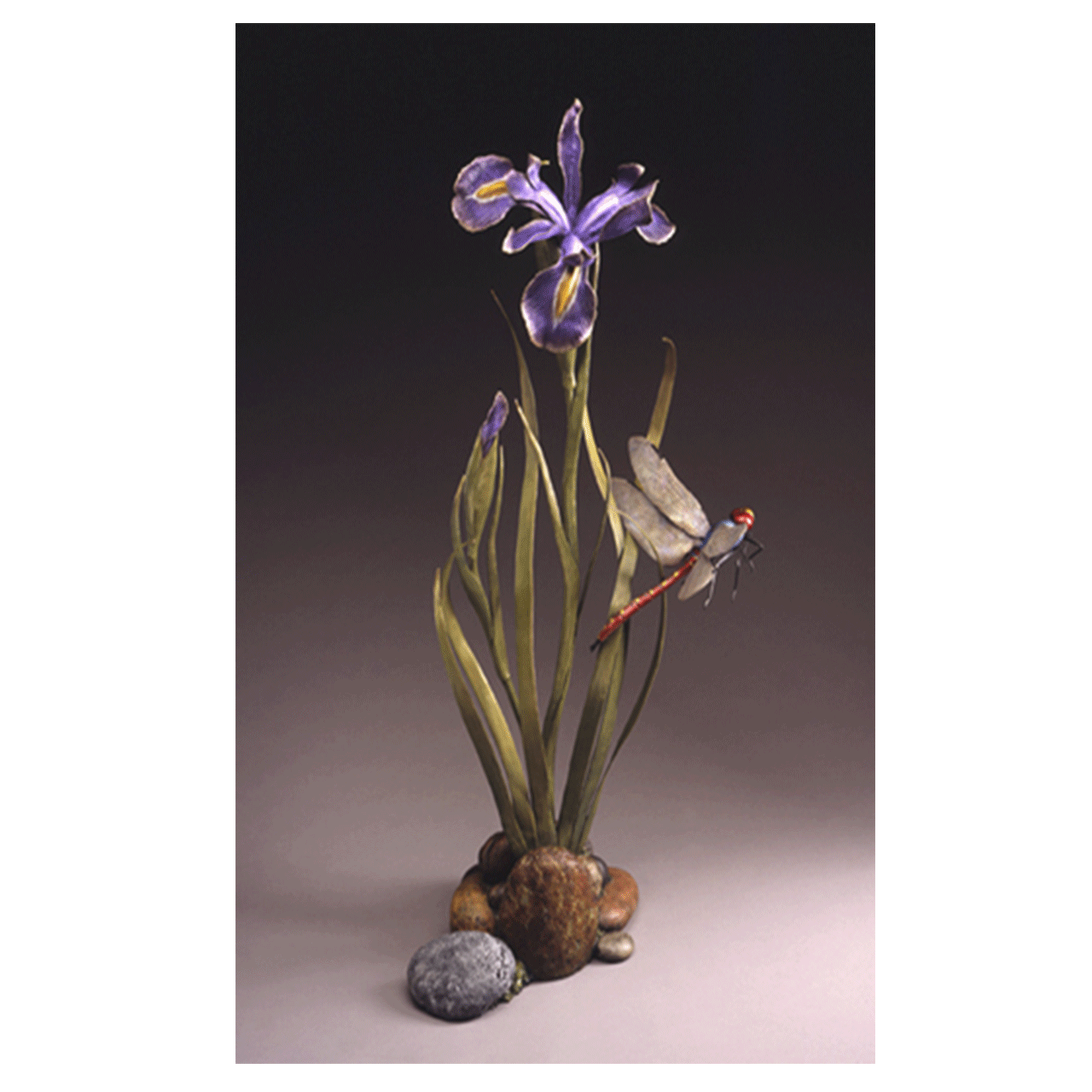 Wild Iris