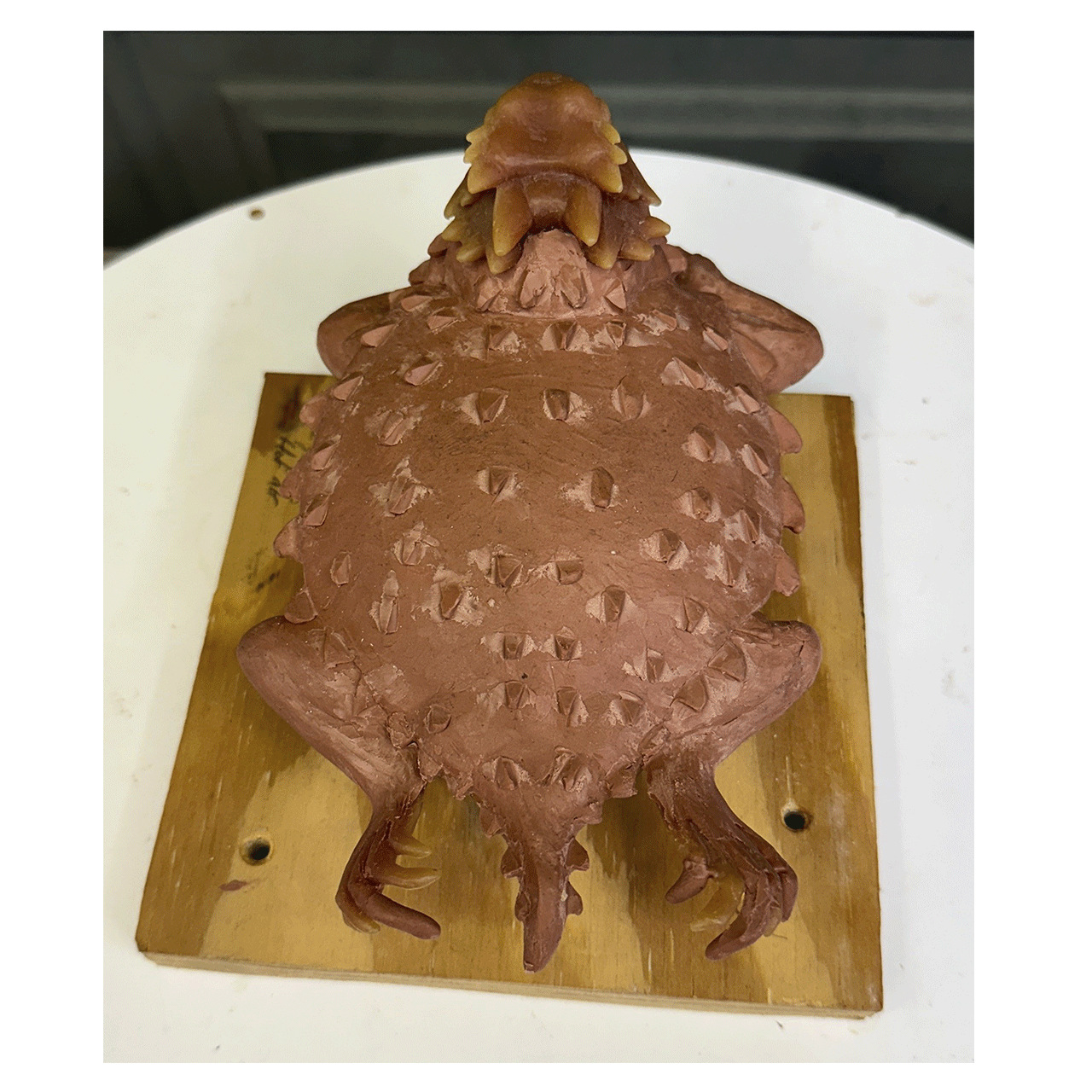 joshua-tobey-bronze-sculpture-horned-toad-puffed-precast-back-view.png