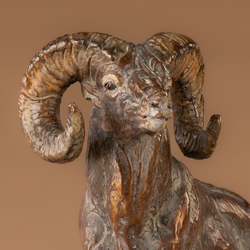 High Society_Bronze_Ram_Ken_Rowe_view _6_800.jpg