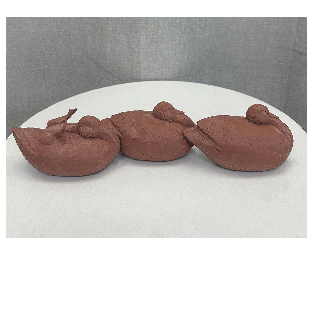 Odd Duck- Precast